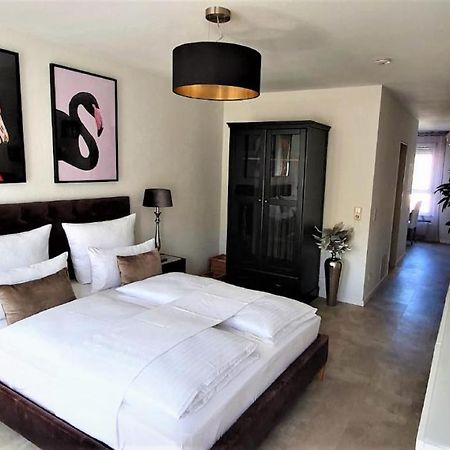 Deluxe Apartment Flamingo In Paradise Friburgo in Brisgovia Esterno foto