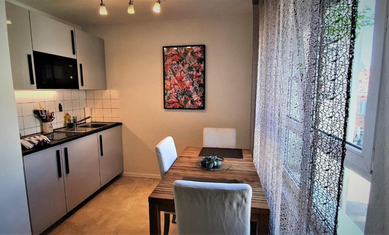 Deluxe Apartment Flamingo In Paradise Friburgo in Brisgovia Esterno foto