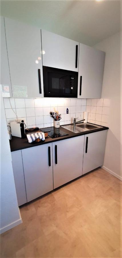 Deluxe Apartment Flamingo In Paradise Friburgo in Brisgovia Esterno foto